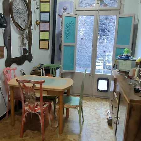 Apartament Volca Aiguanegra Sant Joan les Fonts Dış mekan fotoğraf
