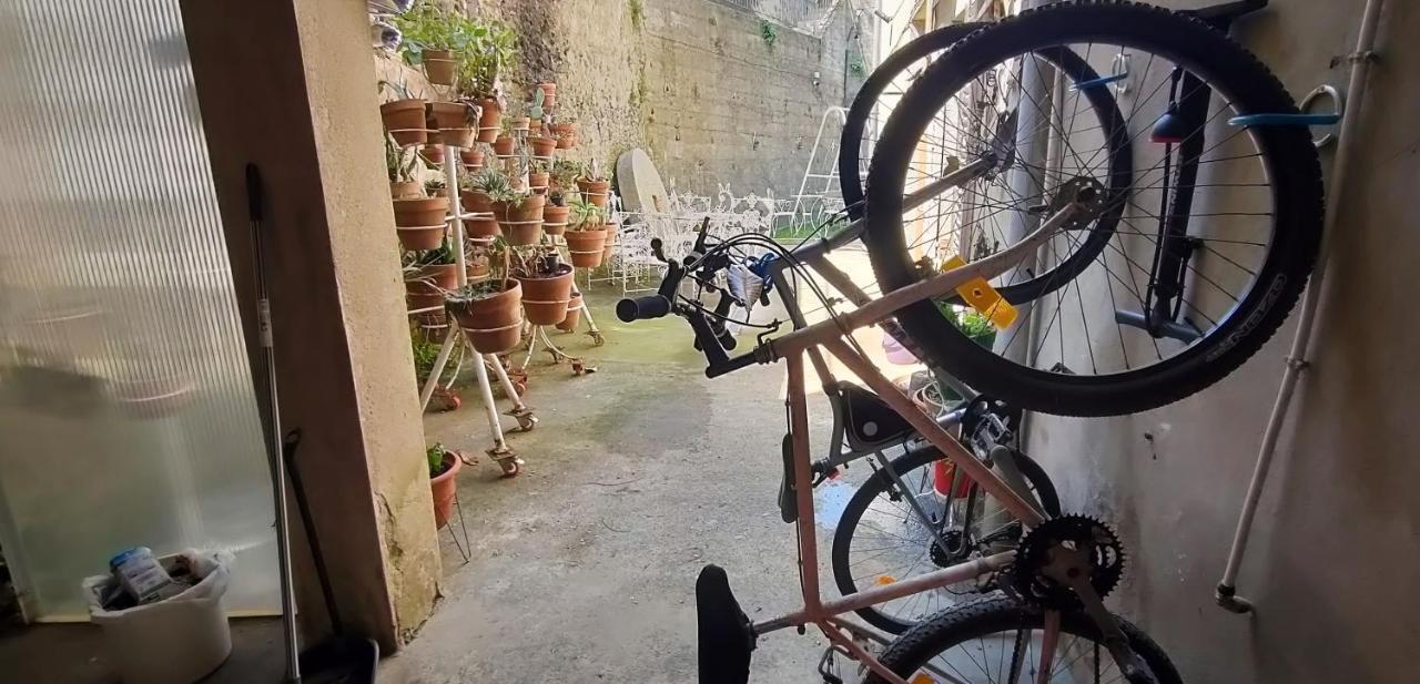 Apartament Volca Aiguanegra Sant Joan les Fonts Dış mekan fotoğraf